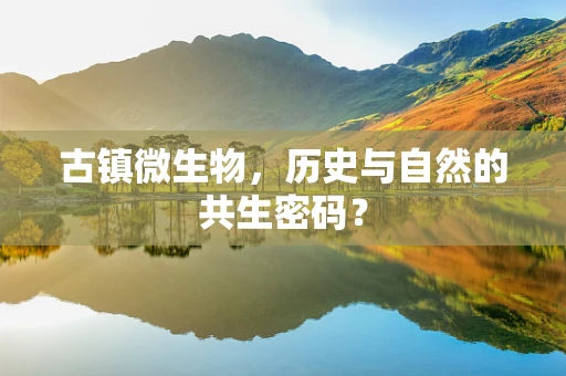 古镇微生物，历史与自然的共生密码？