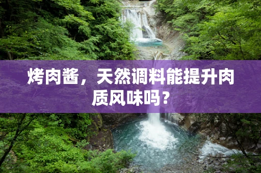 烤肉酱，天然调料能提升肉质风味吗？