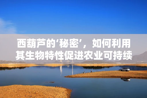 西葫芦的‘秘密’，如何利用其生物特性促进农业可持续发展？
