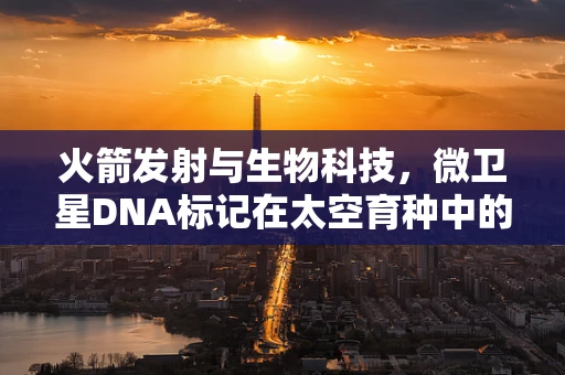 火箭发射与生物科技，微卫星DNA标记在太空育种中的应用？