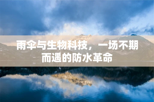 雨伞与生物科技，一场不期而遇的防水革命