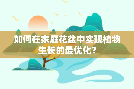 如何在家庭花盆中实现植物生长的最优化？