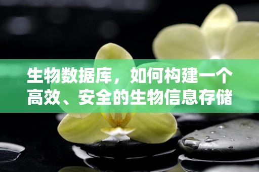 生物数据库，如何构建一个高效、安全的生物信息存储系统？