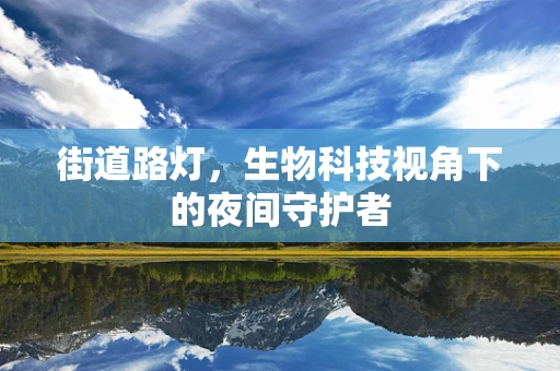 街道路灯，生物科技视角下的夜间守护者
