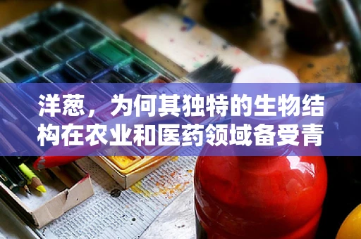 洋葱，为何其独特的生物结构在农业和医药领域备受青睐？