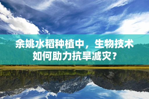 余姚水稻种植中，生物技术如何助力抗旱减灾？