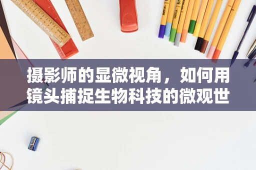 摄影师的显微视角，如何用镜头捕捉生物科技的微观世界？
