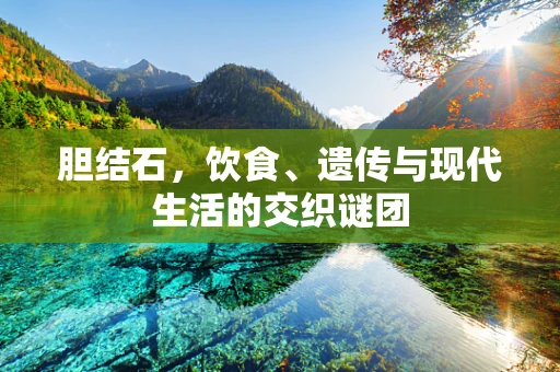 胆结石，饮食、遗传与现代生活的交织谜团