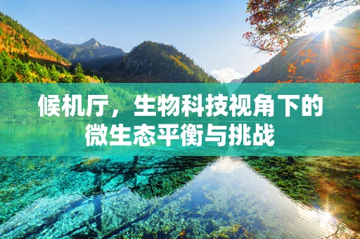 候机厅，生物科技视角下的微生态平衡与挑战