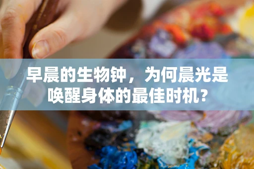 早晨的生物钟，为何晨光是唤醒身体的最佳时机？