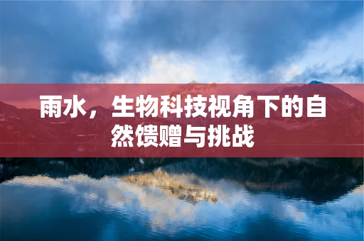 雨水，生物科技视角下的自然馈赠与挑战