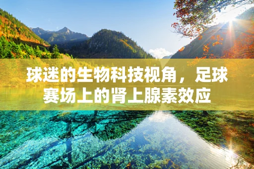 球迷的生物科技视角，足球赛场上的肾上腺素效应