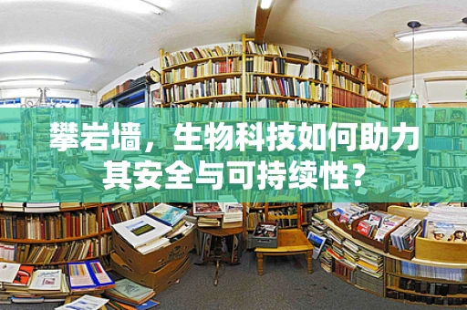 攀岩墙，生物科技如何助力其安全与可持续性？