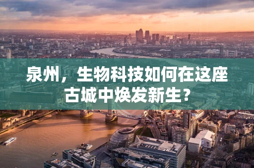 泉州，生物科技如何在这座古城中焕发新生？