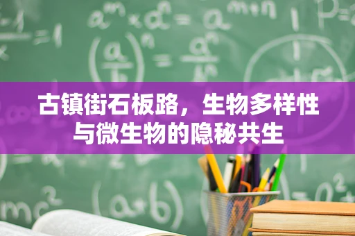 古镇街石板路，生物多样性与微生物的隐秘共生