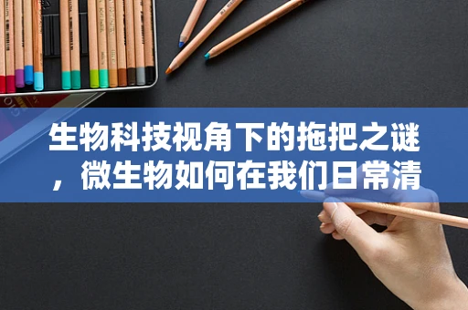 生物科技视角下的拖把之谜，微生物如何在我们日常清洁中扮演角色？