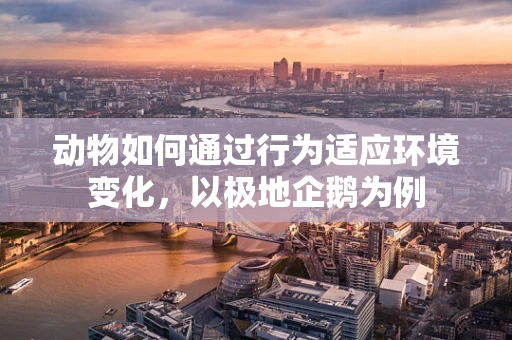 动物如何通过行为适应环境变化，以极地企鹅为例
