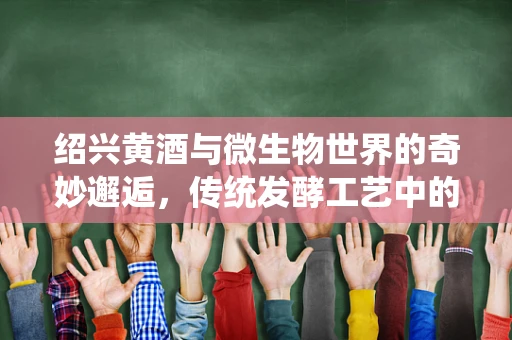 绍兴黄酒与微生物世界的奇妙邂逅，传统发酵工艺中的科学奥秘