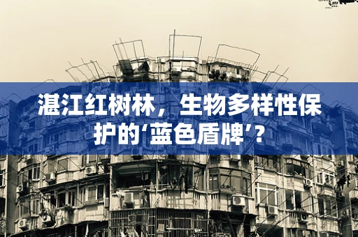 湛江红树林，生物多样性保护的‘蓝色盾牌’？