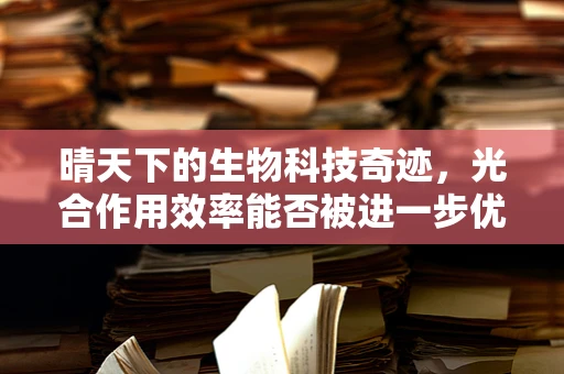 晴天下的生物科技奇迹，光合作用效率能否被进一步优化？