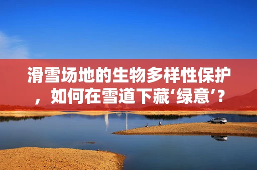 滑雪场地的生物多样性保护，如何在雪道下藏‘绿意’？