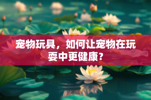 宠物玩具，如何让宠物在玩耍中更健康？