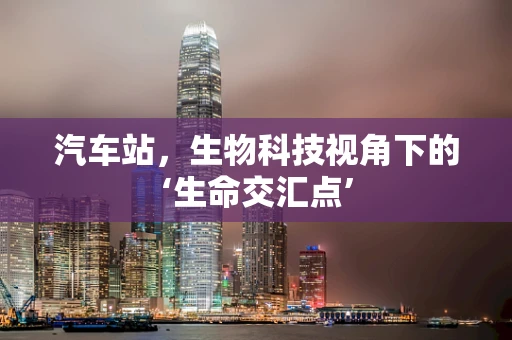汽车站，生物科技视角下的‘生命交汇点’