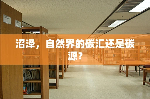 沼泽，自然界的碳汇还是碳源？