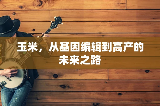玉米，从基因编辑到高产的未来之路