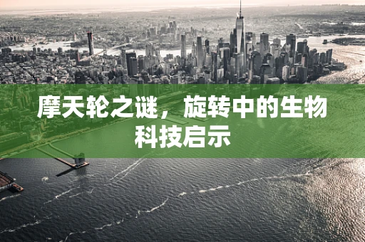 摩天轮之谜，旋转中的生物科技启示