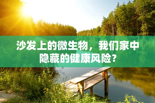 沙发上的微生物，我们家中隐藏的健康风险？