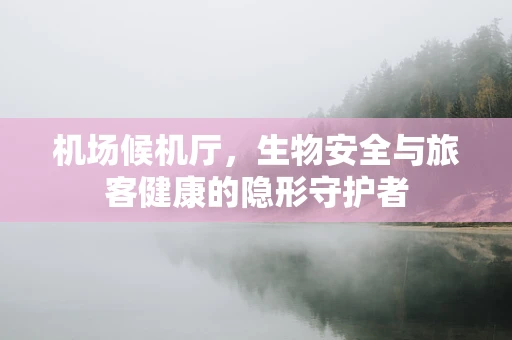 机场候机厅，生物安全与旅客健康的隐形守护者
