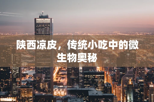 陕西凉皮，传统小吃中的微生物奥秘