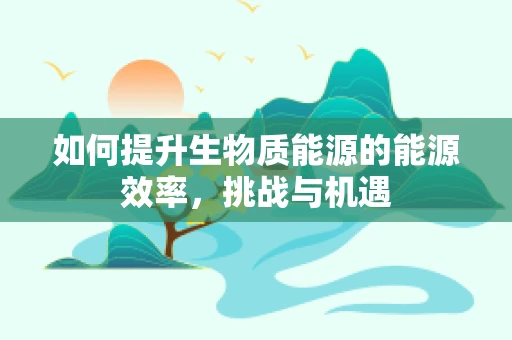 如何提升生物质能源的能源效率，挑战与机遇