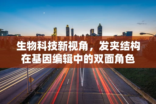 生物科技新视角，发夹结构在基因编辑中的双面角色
