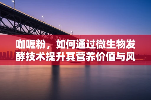 咖喱粉，如何通过微生物发酵技术提升其营养价值与风味？