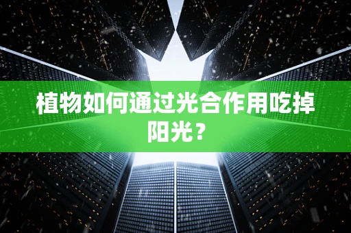 植物如何通过光合作用吃掉阳光？