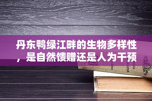 丹东鸭绿江畔的生物多样性，是自然馈赠还是人为干预的奇迹？