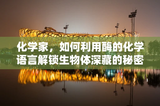 化学家，如何利用酶的化学语言解锁生物体深藏的秘密？
