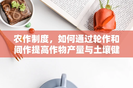 农作制度，如何通过轮作和间作提高作物产量与土壤健康？