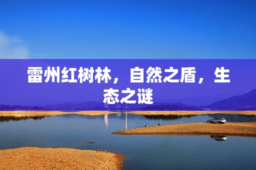 雷州红树林，自然之盾，生态之谜