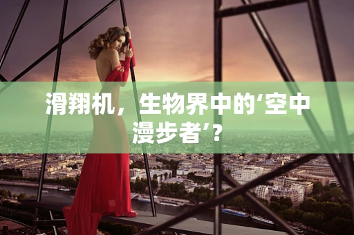 滑翔机，生物界中的‘空中漫步者’？