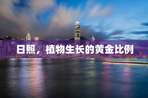 日照，植物生长的黄金比例