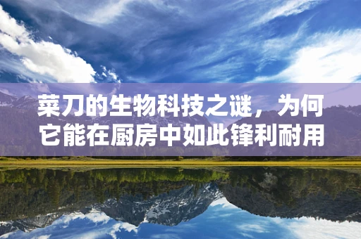 菜刀的生物科技之谜，为何它能在厨房中如此锋利耐用？