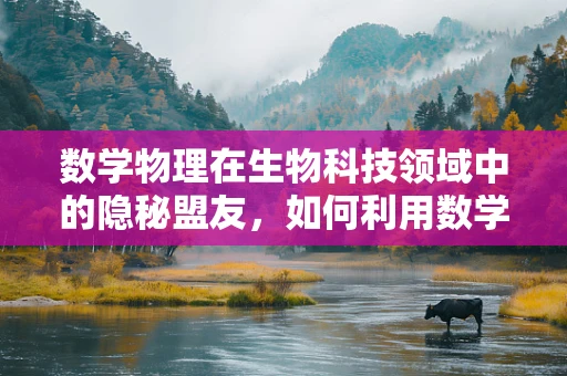 数学物理在生物科技领域中的隐秘盟友，如何利用数学模型预测生物分子运动轨迹？