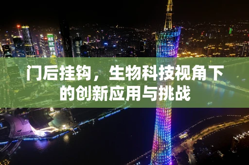 门后挂钩，生物科技视角下的创新应用与挑战