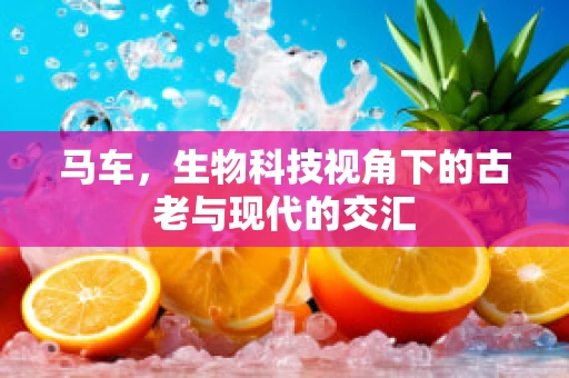 马车，生物科技视角下的古老与现代的交汇