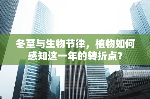 冬至与生物节律，植物如何感知这一年的转折点？