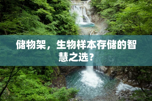储物架，生物样本存储的智慧之选？