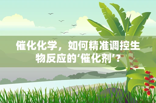催化化学，如何精准调控生物反应的‘催化剂’？